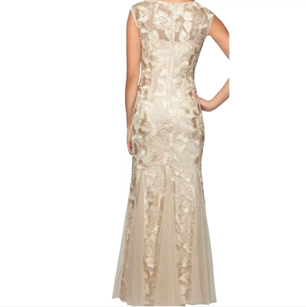 Alex evening evening